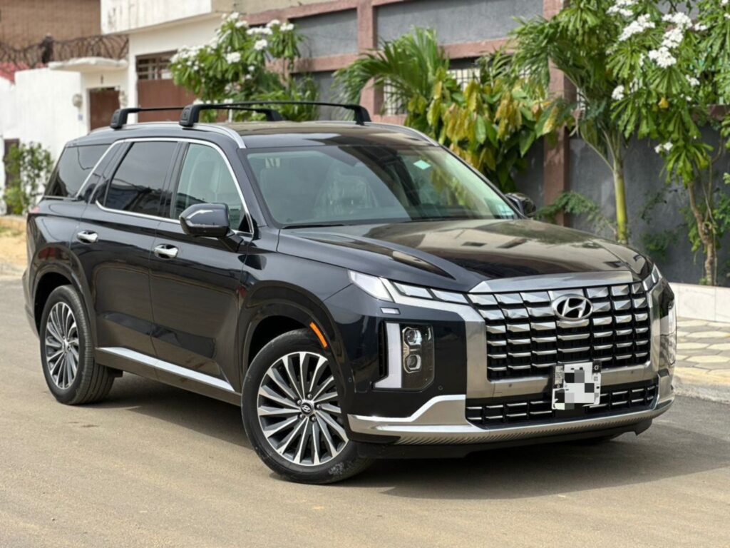 ban auto palisade